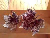 P 20150210 094042 -->